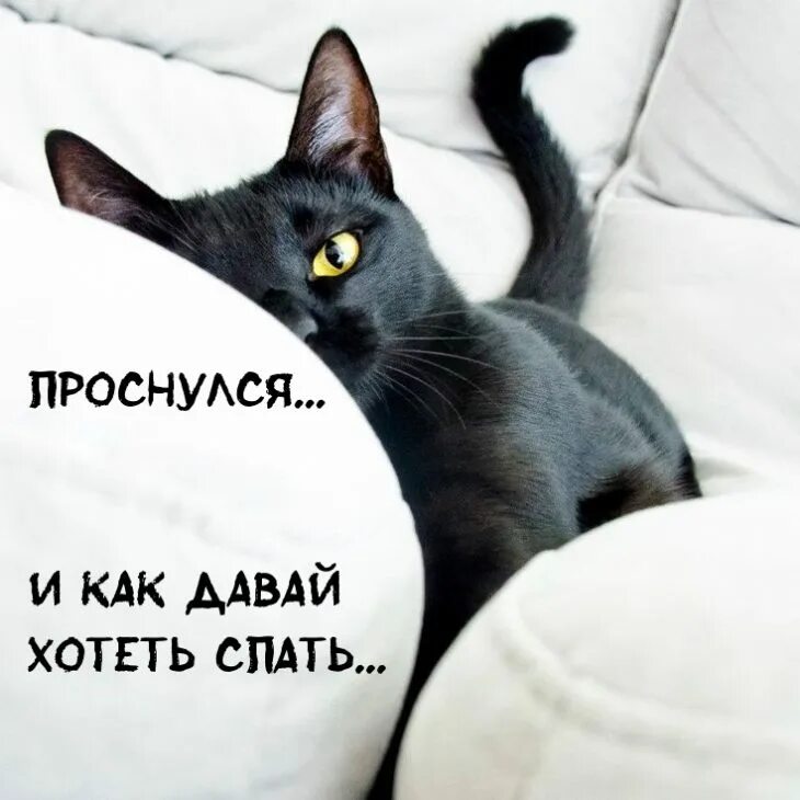 Хватит спать выходи на улицу. Проснулся и как давай хотеть спать. просыпайся картинки. доброе утро хватит спать шуточные. пора просыпаться.