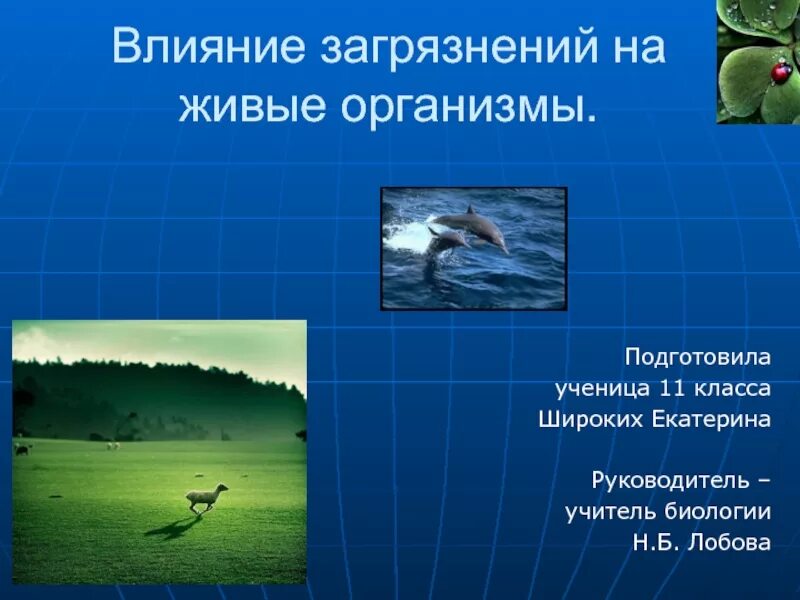 Влияние загрязнений на живые организмы. Влияние загрязнений на живые организмы. Биологическое загрязнение человека. Влияние загрязнения на организмы. Влияние загрязнений на организмы.