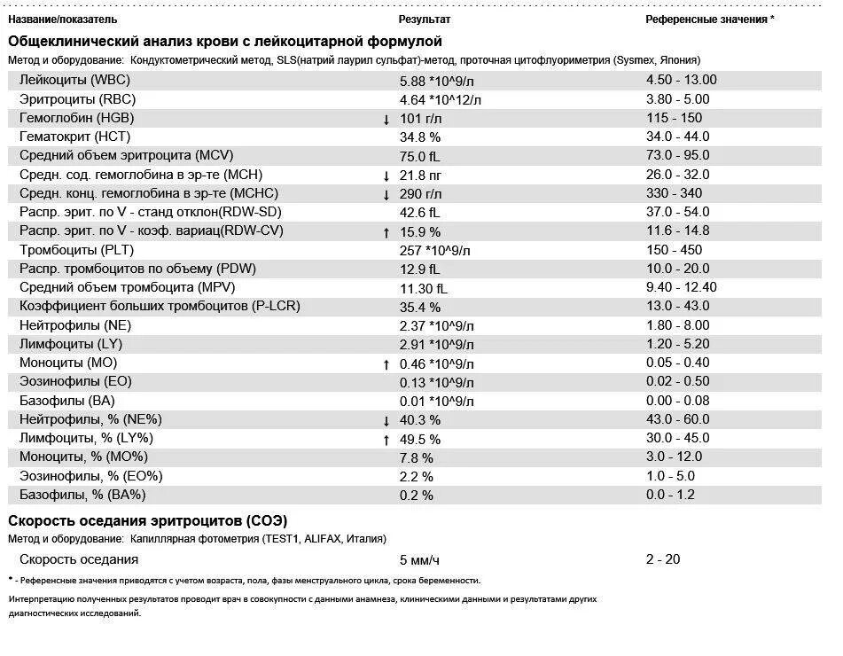 Эритроциты норма у женщин 60 лет