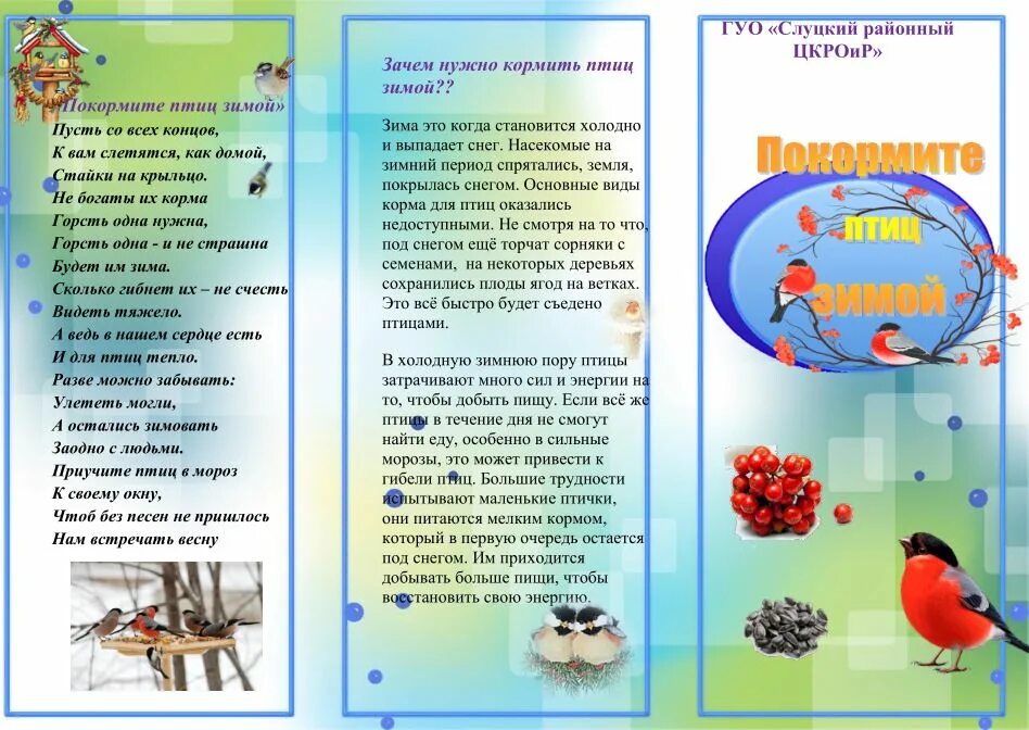 Листовка пернатые друзья. Памятка Покормите птиц зимой буклет. Листовка зимующие птицы. Брошюра про птиц. Буклет зимующие птицы.