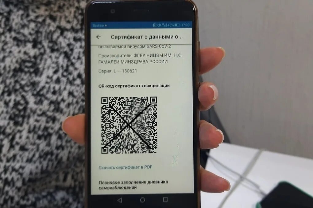 Сертификат по QR коду. QR код фото. Введение QR кодов в России. QR код коронавирус. Https 1 qr ru