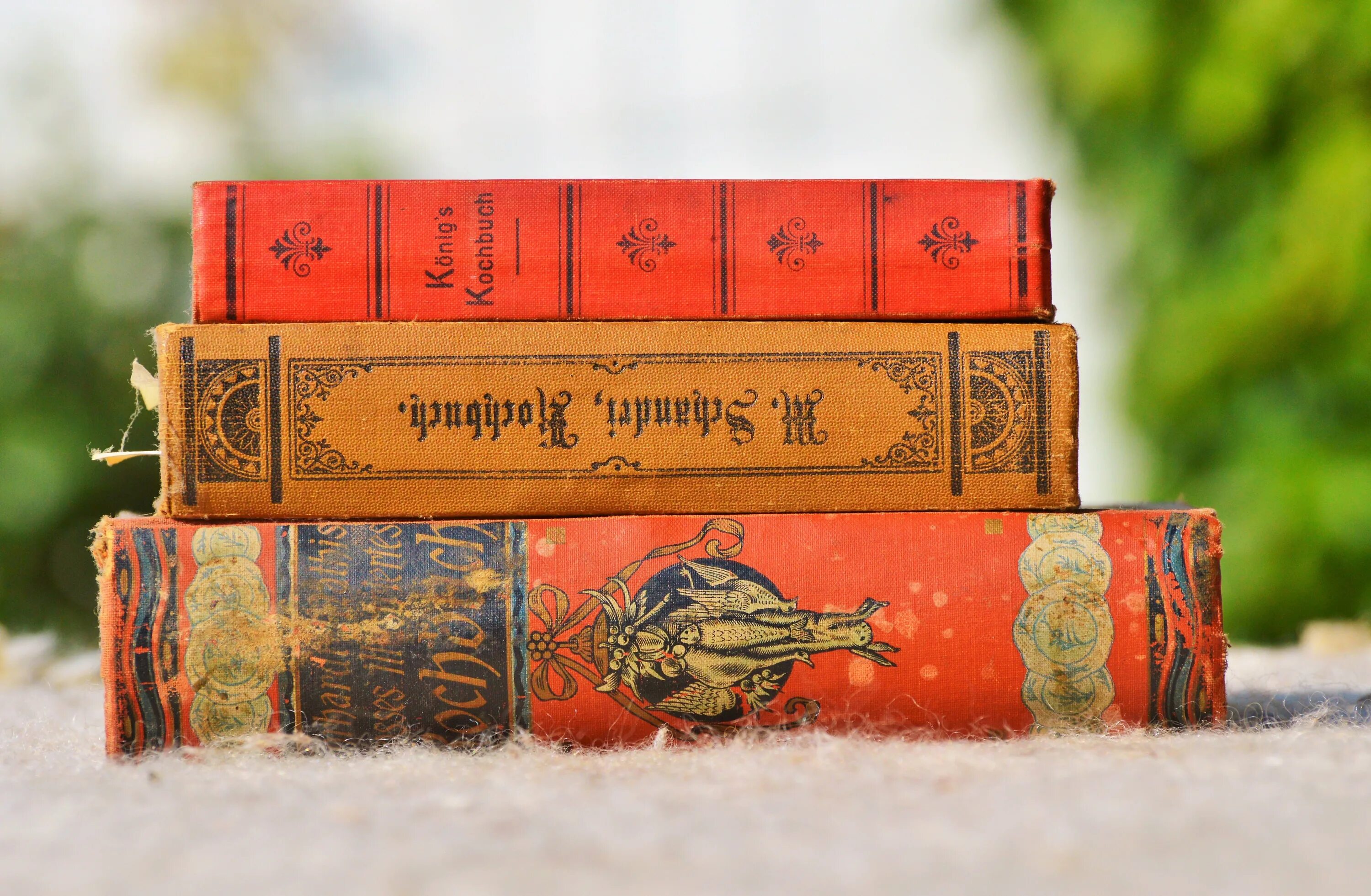 Книги на немецком переводом на русский. Книги на немецком переводом на русский. Читать книги на немецком. Старинные книги на немецком языке. Первая книга на немецком.