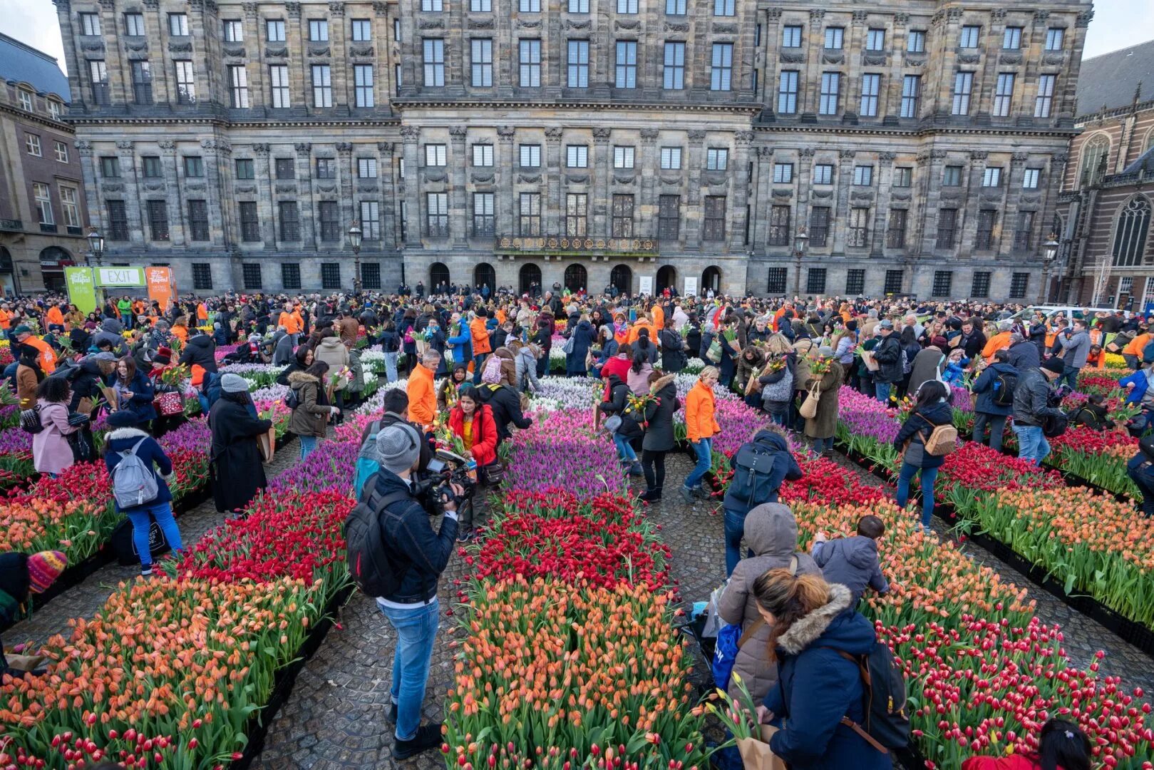 Побывав во многих странах. Фестиваль тюльпанов в Амстердаме. Кёкенхоф Нидерланды парад цветов. Фестиваль цветов в Голландии (Keukenhof, Нидерланды. Фестиваль тюльпанов Кекенхоф.