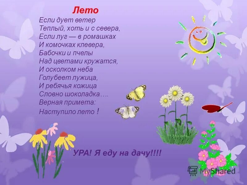 лето красное. красивый одинокий цветок. лето красное пришло. лето красное проходит. лето красное проходит.