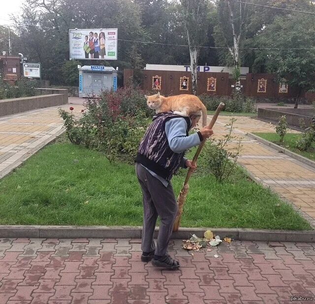 Прикольный дворник. Смешной дворник. Дворник юмор. Дворник прикол.