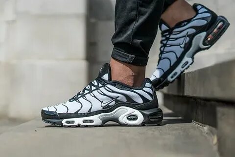 Max plus отзывы