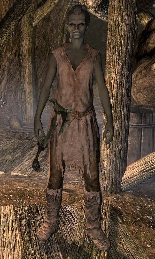 Skyrim elder scrolls wiki