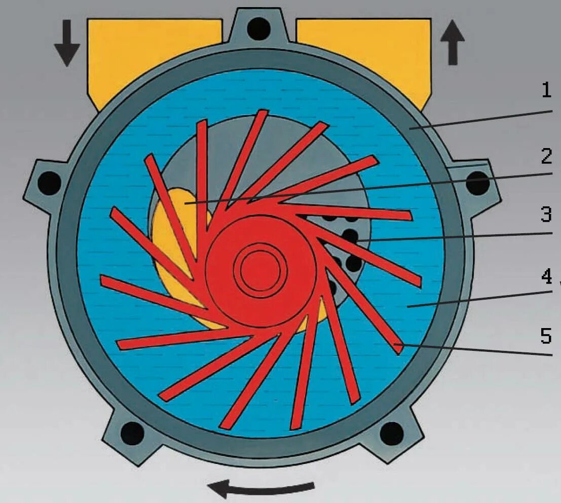 Водокольцевой вакуумный насос elrpx 110. Вакуумный насос водокольцевой принцип. Водокольцевой компрессор схема. Жидкостно-кольцевой вакуумный насос.
