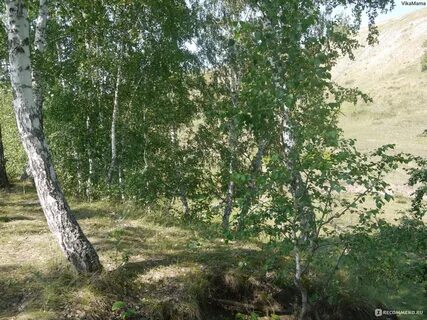 В районе очень