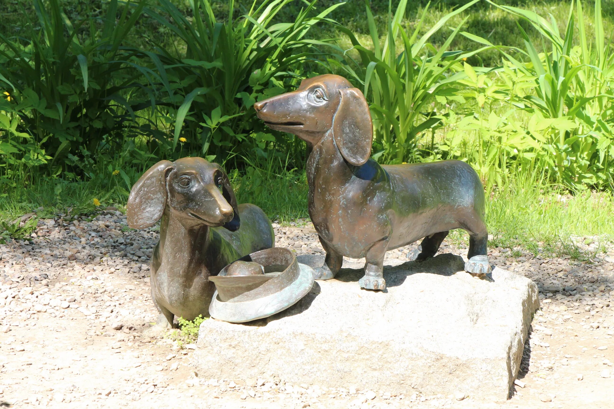 Памятник таксам чехова в мелихово. Таксы чехова в мелихово. Таксы чехова. Фестиваль такс в мелихово. Памятник таксам чехова.