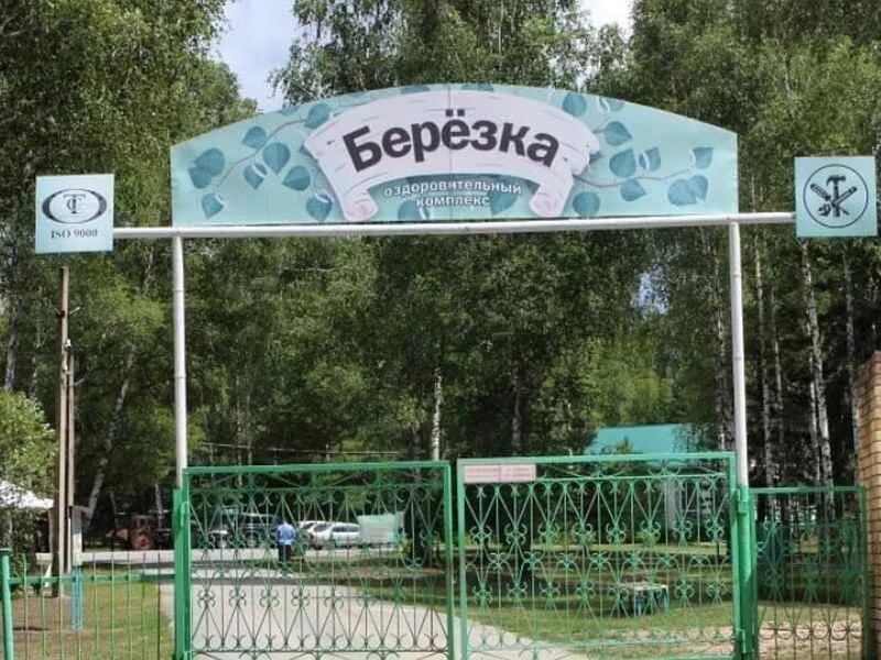 Березка липецк