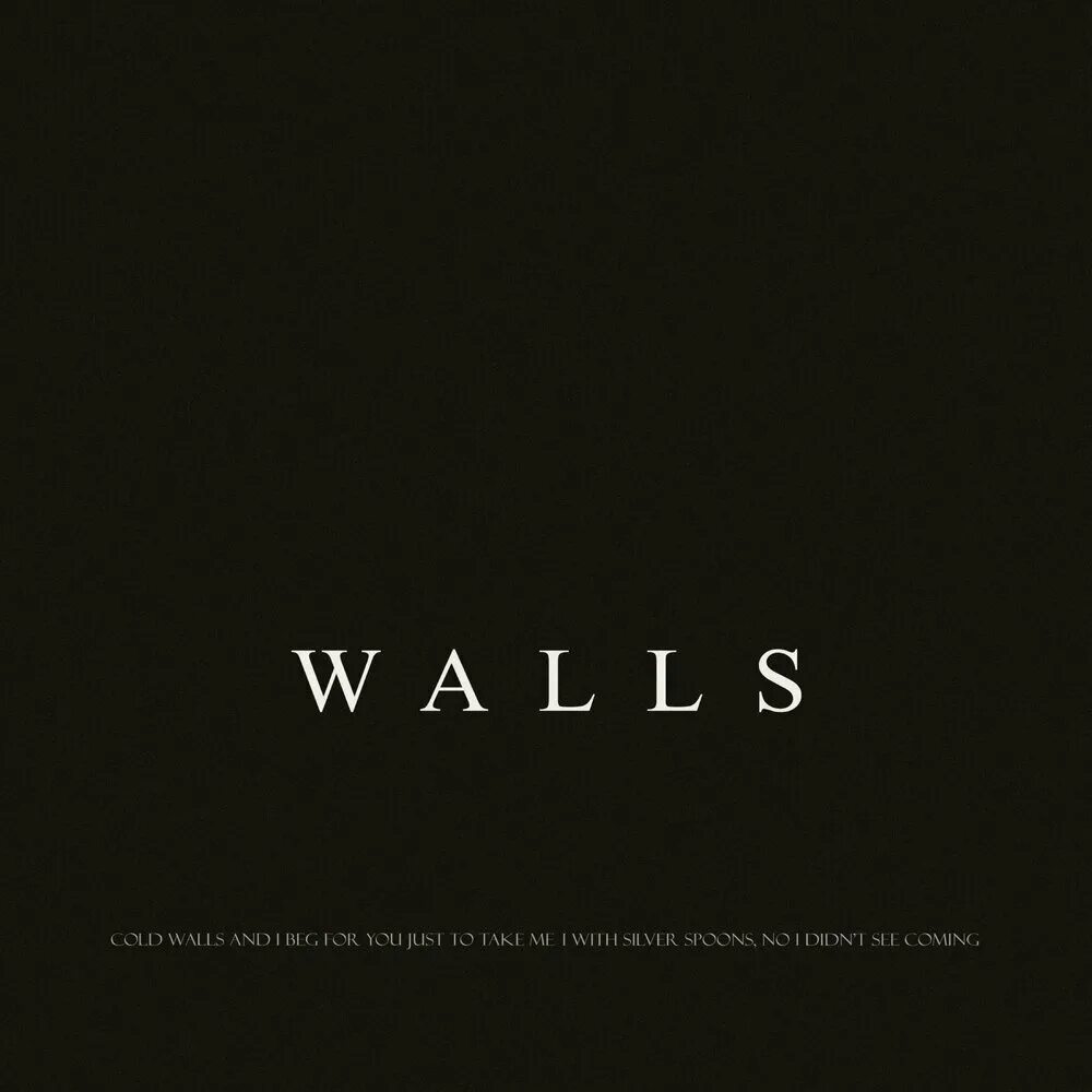 KVPV - Walls. KVPV обложка. KVPV группа. Обложка песни Walls. Kvpv body