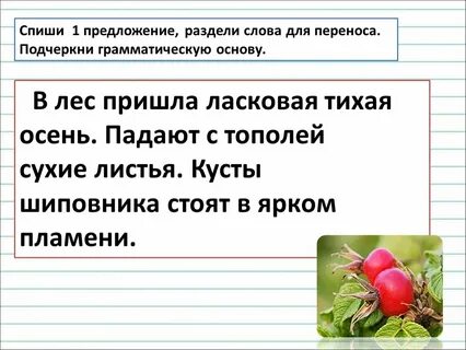 Разделить текст на предложения 2 класс карточки