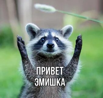 Коль здравствуй