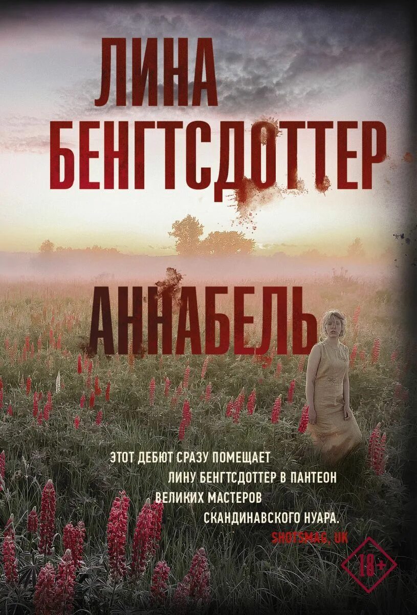 Книги про триллеры. Аннабель бенгтсдоттер. книга аннабель. скандинавские триллеры книги.