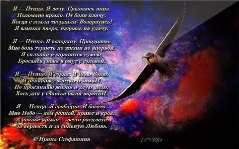 В небе шальные птицы текст