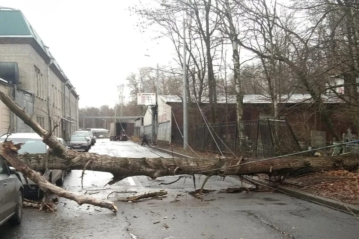 Сегодня был сильный. Сильный ветер в городе. Ноябрь ветер. Ураган в Санкт Петербурге. Сильный ветер в Москве.