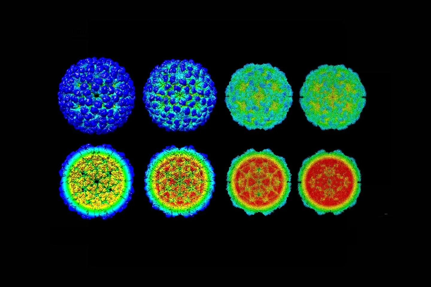 Virus-like Particle. Модель заражения вирусом. Омега вирус. Virus-like Particle картинка. Like virus