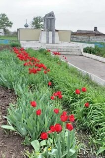 Погода зеленолугский мартыновский