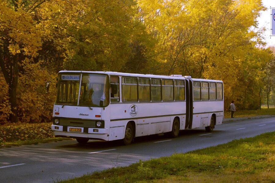 Икарус 280. Икарус 256 гармошка. Ikarus 280.10. Икарус 258 гармошка. Икарус это