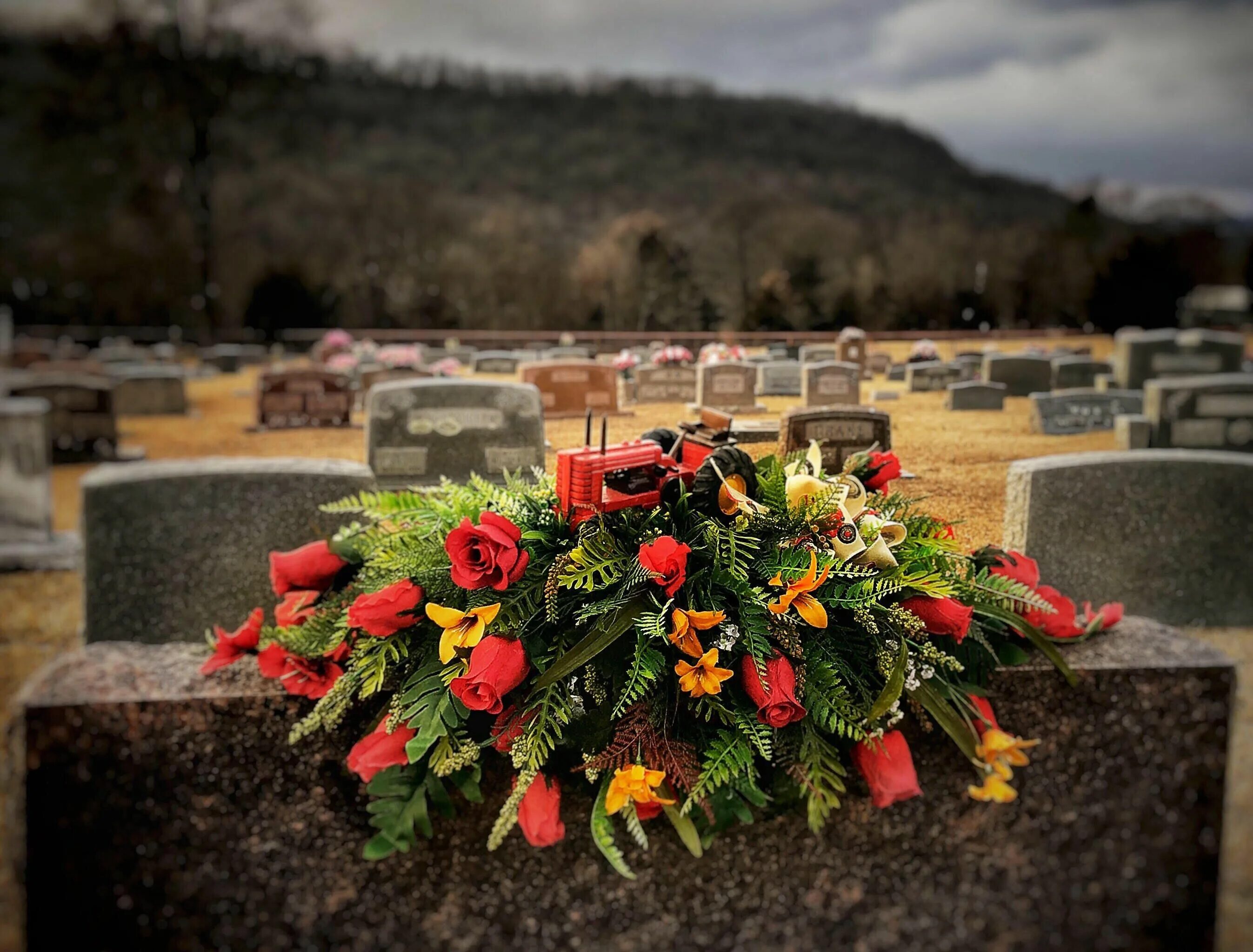 Сад из кладбища. Кладбище с цветами. A closeup of the flower bouquet in the graveyard. Цветы на кладбище. Кладбище эстетика.