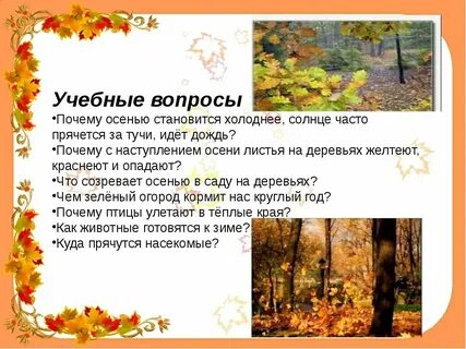 Когда осенью становится холодно