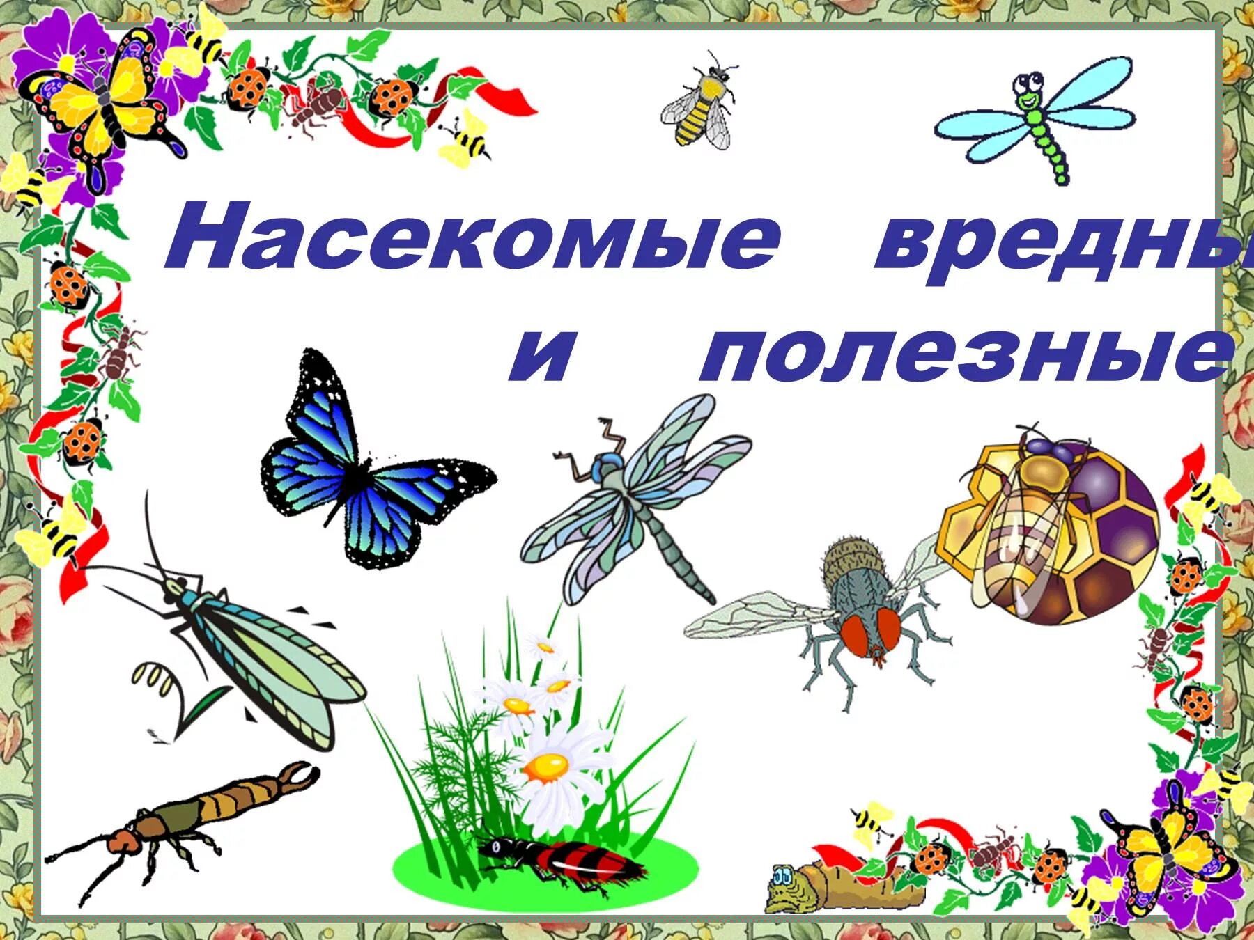 Полезные насекомые для дошкольников. Насекомые для дошкольникл. Насекомые презентация для дошкольников. Насекомые для дошкольников. Насекомые занятие для дошкольников.