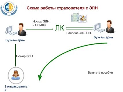 Элн 2024
