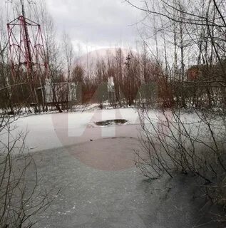Трагедия в подмосковье сегодня