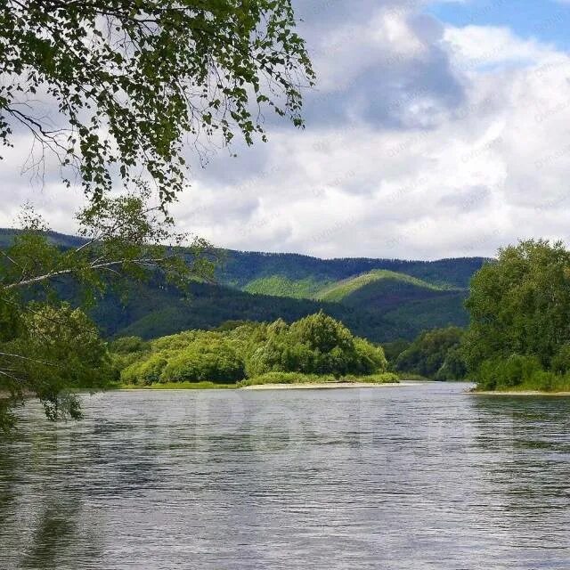 Поселок тумнин. Тумнин хабаровский край. река тумнин. река тумнин таймень. река тумнин хабаровский.