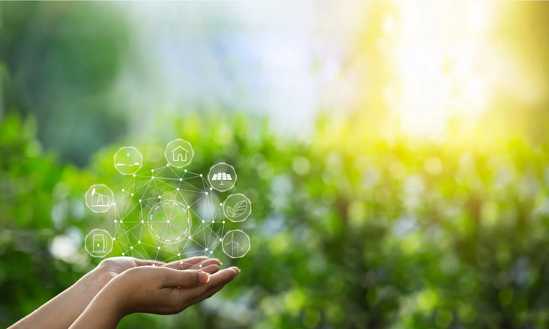 Business progress. Экологическое управление. Energy sustainability. Sustainable business. Экология.