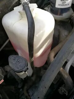 Антифриз geely