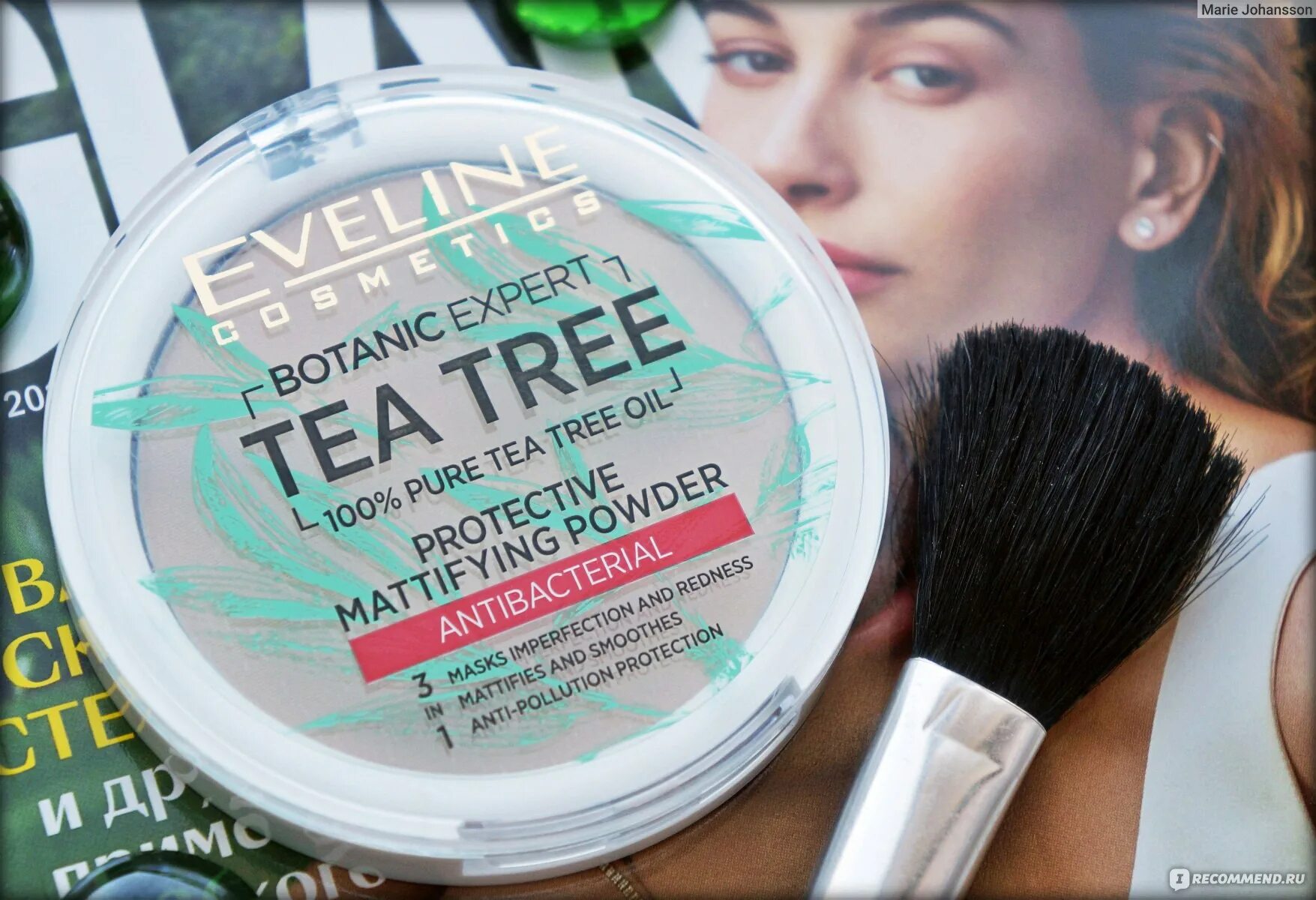 Пудра чайное дерево. Пудра эвелин tea tree. Eveline tea tree пудра 001. Apieu tea tree. Пудра чайное дерево.