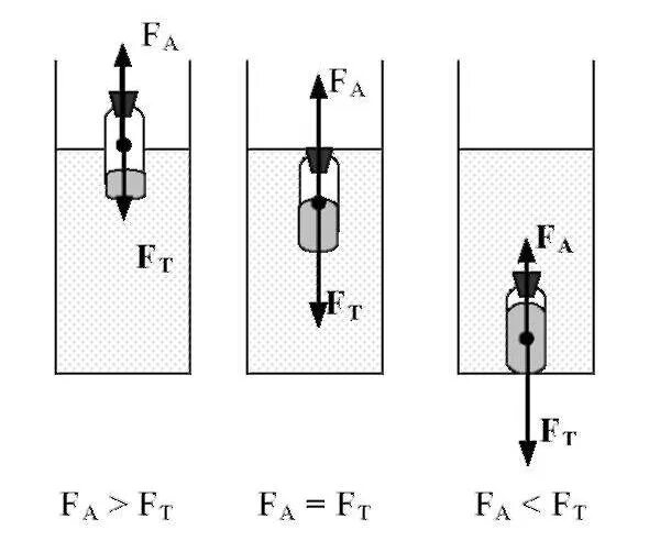 Лабораторная работа плавание тел физика. Изобразите графически силы действующие на тело плавающее на воде. Изобразите силы действующие на тело. Силы действующие на плавающее тело. Лабораторная выяснение условий плавания тела в жидкости.