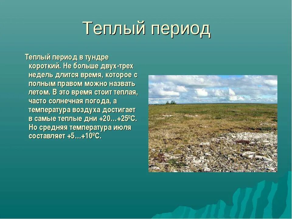 Средняя температура в тундре летом. Испаряемость в тундре. Средняя температура июля в тундре России. Тундра погода сейчас. В тундре сухое теплое лето.