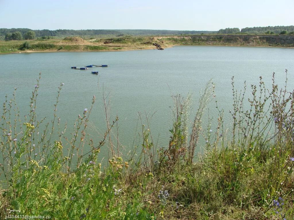 Кузьмищево. Село Кузьмищево. Деревня Кузьмищево Тарусский район. Таруса карьер.