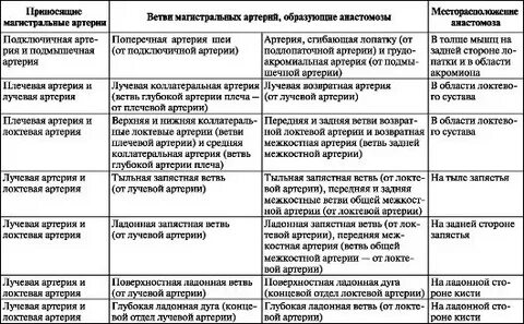 Таблица нижних конечностей