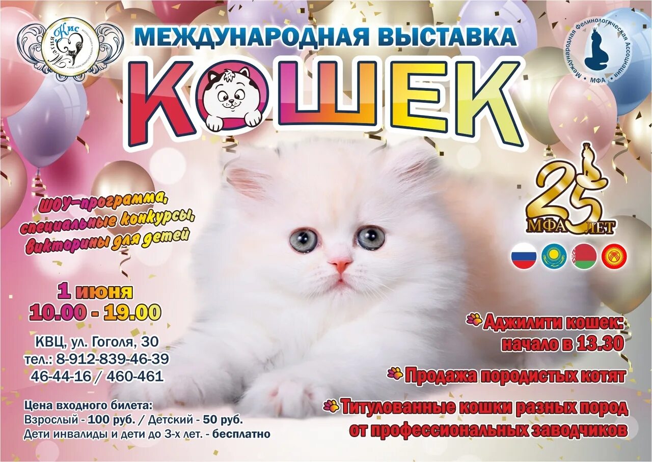 Выставка кошек. Кошки хабаровск. Выставка кошек афиша интересный дизайн. Выставка кошек плакат. Выставка кошек плакат.