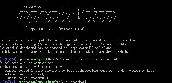 Terminal session. Openhabian Hardware.