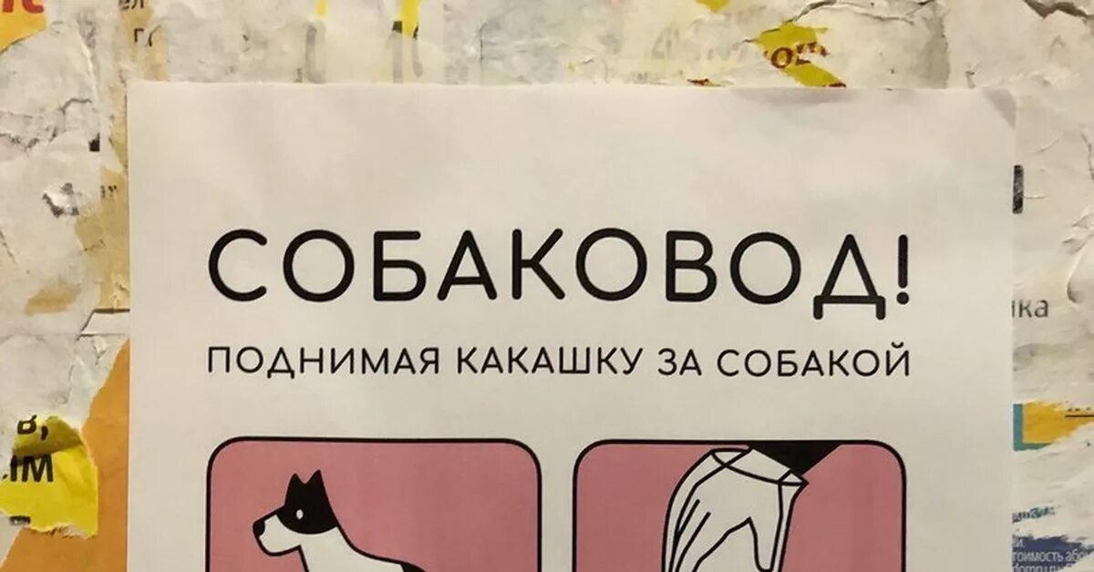 Снять какашку. Убирайте за собаками. Убирайте какашки за собакой. Поднимая какашку за собакой. Убирайте за собаками юмор.