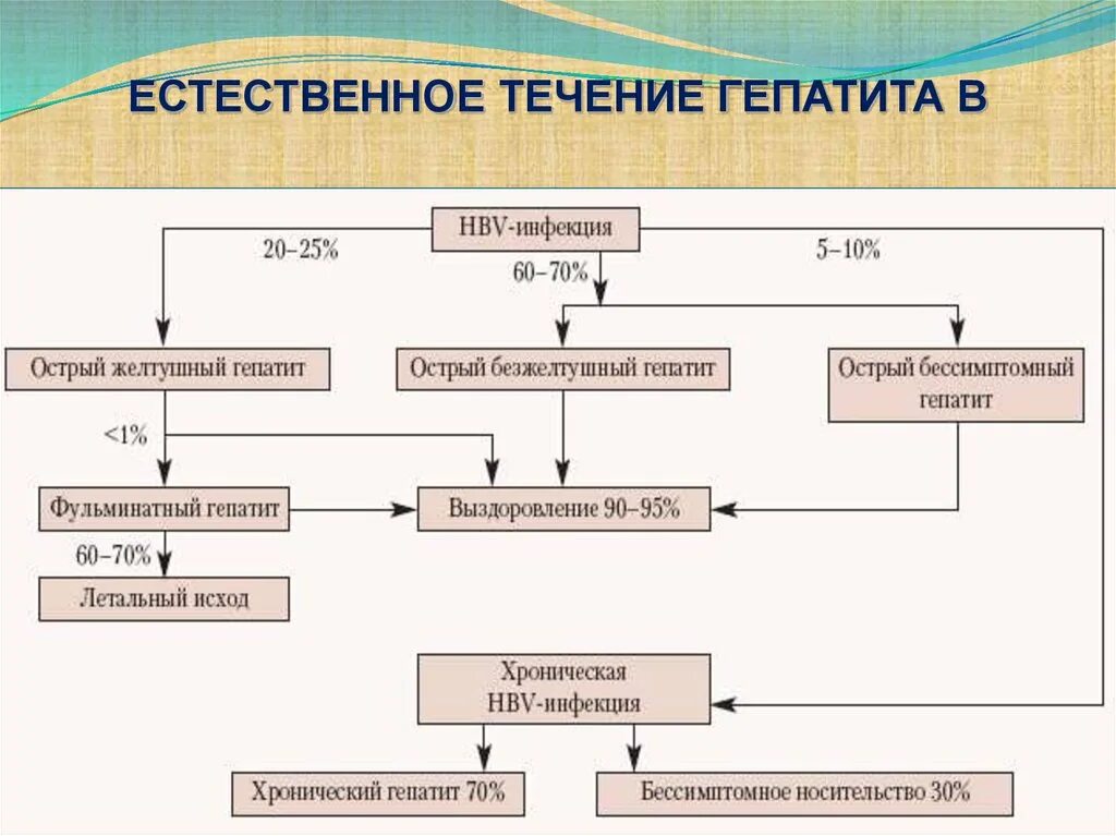 Схема гепатита в. Естественное течение вирусного гепатита в схема. вирусный гепатит а патогенез схема. естественное течение гепатита схема. патогенез гепатита б схема.
