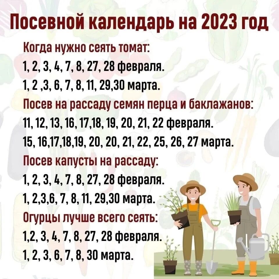 Календарь посадок на 2023. Лунный посевной календарь на 2023 год. Календарь рассады на 2023. Календарь высадки рассады на 2023. Лунно посевной календарь на апрель 2024 сибири