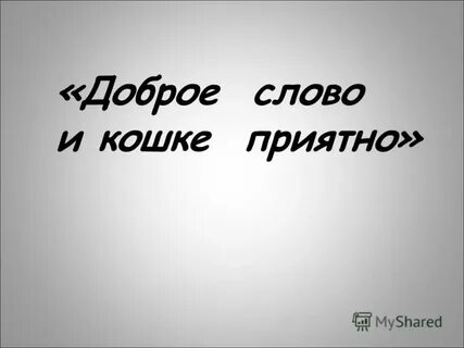Доброе слово и кошке приятно