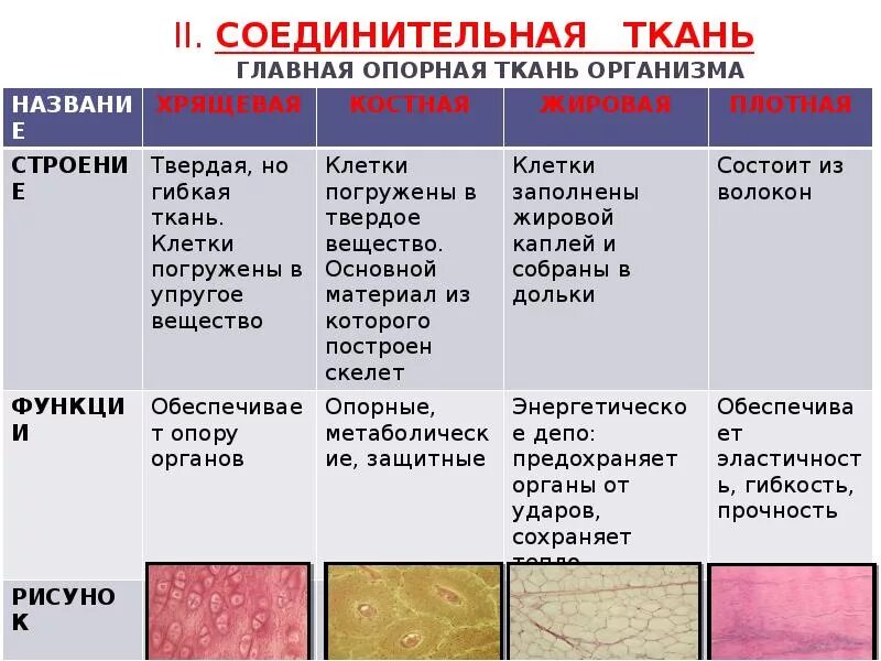 Оххх, тут кажется 404.