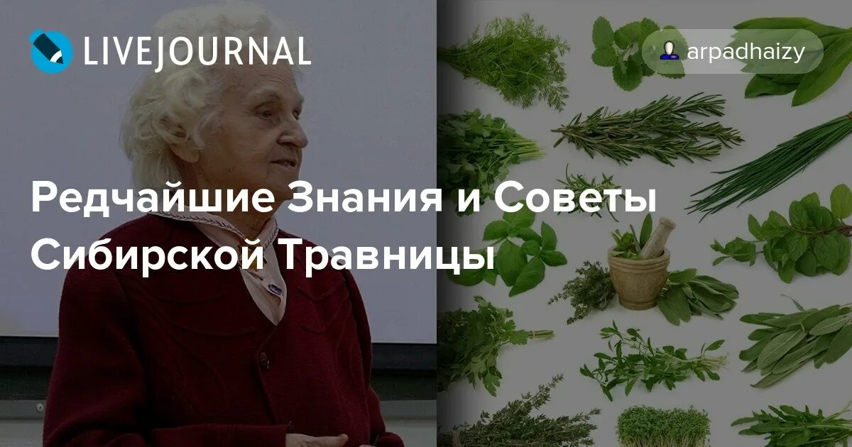 Лечение травницы зайцевой