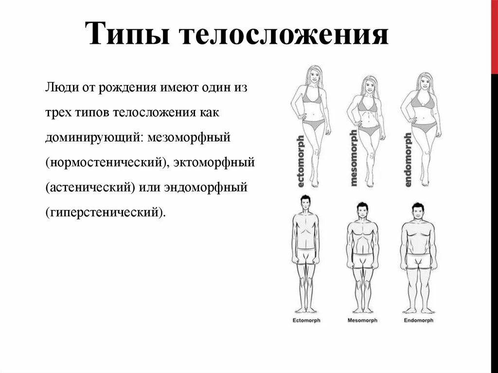 Как определяют конституцию человека. Тип телосложения астенический эктоморф. Типы фигур астеник нормостеник гиперстеник. Типы телосложения у человека (в. Шелдон, 1954). Нормостеник Тип телосложения у мужчин.