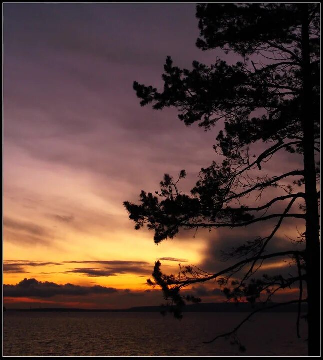 Скоро закат. Скоро закат. Красивый восход. Розовый закат. Рассвет.