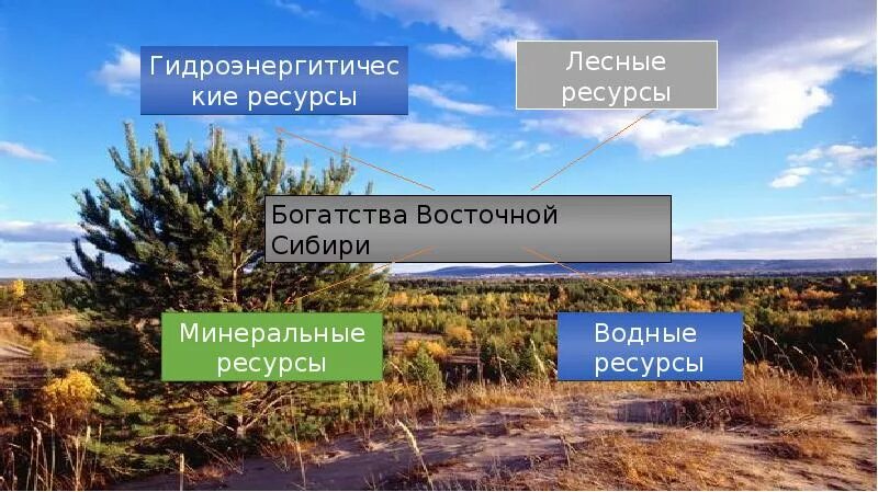 Оценка природных условий районов восточной сибири. Ресурсы восточнойтсибири. Природные ресурсы Восточной Сибири. Богатства Восточной Сибири. Природные условия и ресурсы Восточной Сибири.