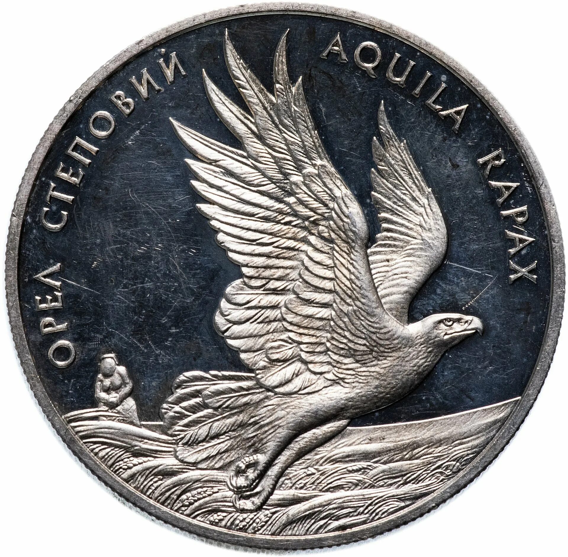 орел на монете. серебряная монета с орлом. двуглавый орел на монете. монета с орлом сзади 1800. монеты орел.