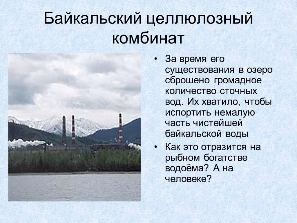 Колоссальное количество времени. Презентации экологическое равновесие. Экологическое равновесие в природе. Экологическое равновесие 4 класс окружающий мир презентация. Экологическое равновесие в природе 4 класс.